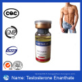 Livraison rapide Enanthate de testostérone antimolique anabolisante de haute qualité